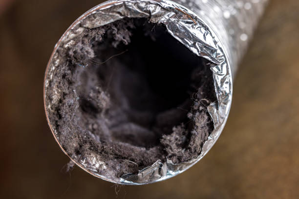 Best Commercial HVAC Duct Cleaning  in Williamstown, PA