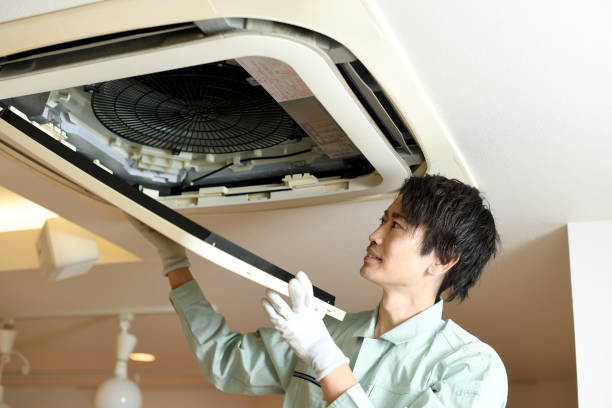 Best Air Duct Mold Removal  in Williamstown, PA