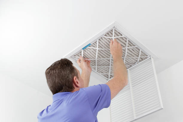Best Affordable Duct Cleaning Services  in Williamstown, PA
